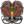 POPA