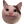BEPOG