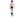 AXESS
