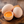 EGGS1