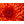 _WOWP