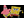 -PNK-