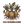 ALF-O
