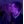 ILY-