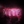 VITE-
