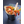 LB_R