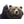 SKVO6