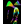 N-ED