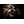 ROAR_