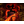DELS_