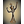 ROQUE