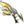 GONAD