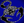 IPSUM