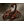 SCRPN
