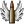 PUL12