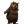 BEAR8