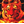 NOVA_