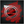 EMP_D