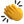 THE_C