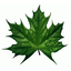 Green_pro