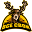 ВСЕ CВОИ