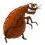 BJIOXA