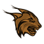 Epic Lynx