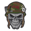 Legion XII Fulminata