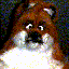 FOX_LegendS
