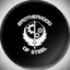 Brotherhood_of_Steel_Warriors