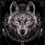 _Night_Animals_