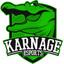KARNAGE_Esports™