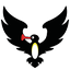 NOOT