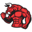 TOROS TEAM