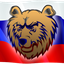 Лесные партизаны (43регион)