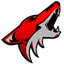 Coyotes-