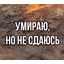 Никогда Не Сдавайся !!!