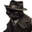 Gang of cats