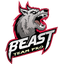 BEAST TEAM PRO