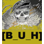 BRIGADA_UH