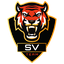 SV TEAM