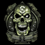 Skull and bone