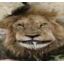 OmenAFKhomoDrill