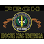 ракетные войска стратегического назначения_