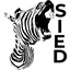 зебра
