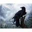 CORVO NERO