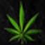 Green Peace`