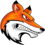 Steel_Fox_13rus [Стальные лисы]