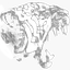 Insane Tigr