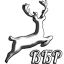 Вся боль рандома (ВБР)
